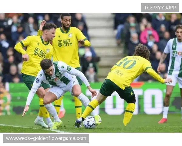 布加勒斯特星对阵费耶诺德，主场氛围或成爆冷温床